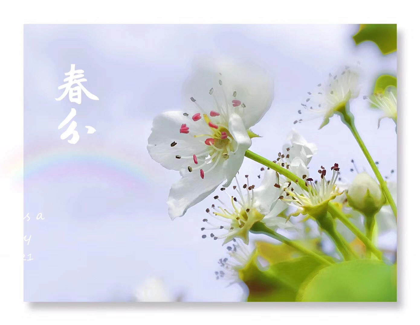 圖片5.jpg