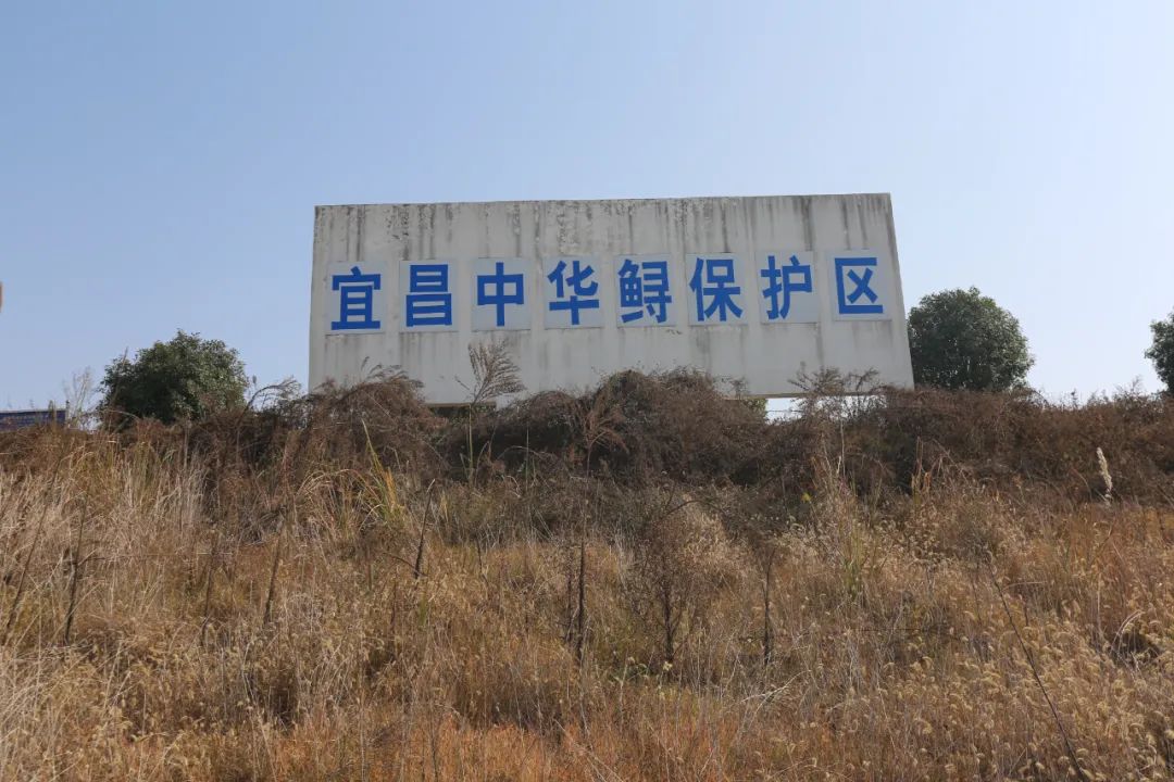 微信圖片_20230201153236.jpg