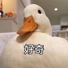 微信圖片_20230511150720.jpg