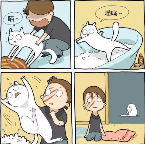 61.png