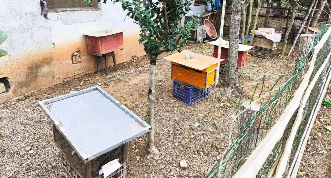微信圖片_20240507095027.jpg