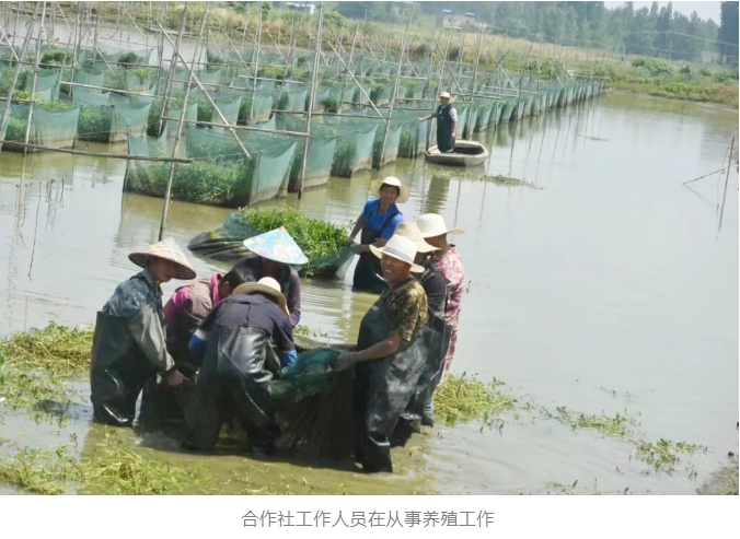 微信截圖_20240813151640.png