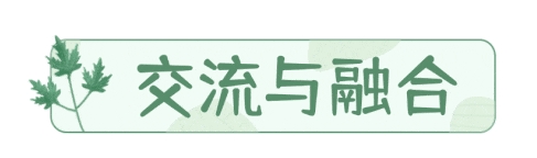 15.png