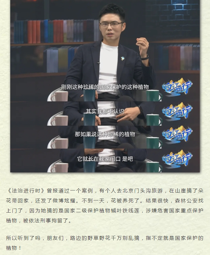13.png