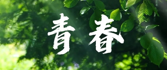 5.png