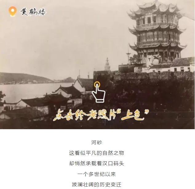 微信截圖_20241112090427.png