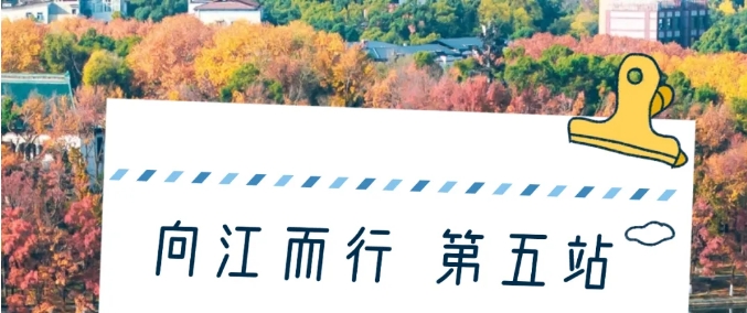 微信截圖_20241231105025.png