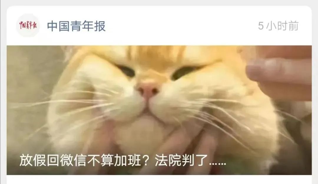微信圖片_20250507145237.jpg
